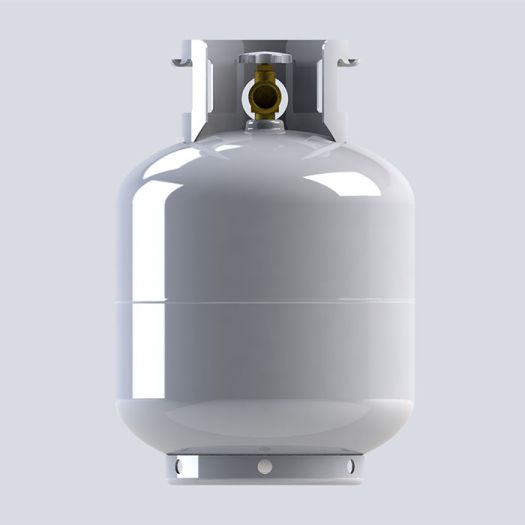 LPG09NZ-1